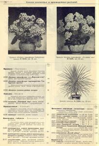 Каталог семян 1927 года - rsl01004914235_76.jpg