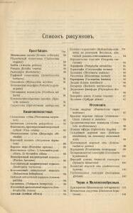 Альбом картин по зоологии низших животных 1904 года - rsl01003722500_011.jpg