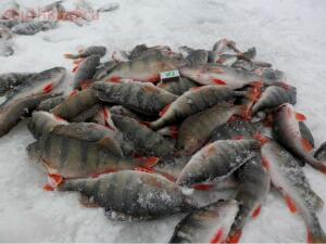 Зимняя рыбалка - .jpg