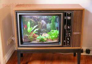 Куда в Каменске сдать старые телевизоры и конденсаторы - Finished-fish-tank.jpg