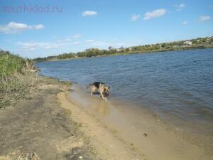 Сброс воды на реке Северский Донец - 11673976.jpg