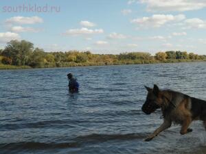 Сброс воды на реке Северский Донец - 11708797.jpg