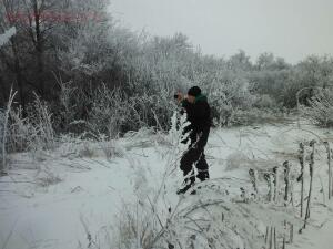 А поедем-ка Мы покопаем ... 2016 год  - DSCF7889.jpg