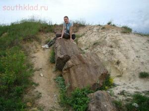 На ЗEMЛЕ лесов нет Видео для думающих - ukraina-okameneloe-derevo-12772_1.jpg