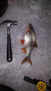Зимняя рыбалка на Ладожском озере плотва  - 71ulsEBc3ck.jpg