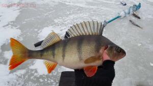 Зимняя рыбалка на Ладожском озере плотва  - 4ceEpC_Wwn0.jpg