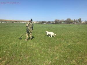 А, поедем-ка Мы покопаем ... 2018год - 15E19517-A432-4F68-AF18-3C5349B0FABB.jpg