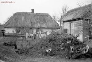 Юг Советской России. Немецкие фотографии времен оккупации. - 10.jpg