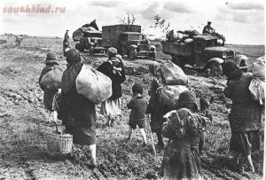 Фотографии Великой Отечественной Войны - DkLk8l3XsAEIAeT.jpg