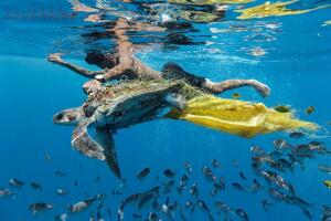 Определены победители фотоконкурса Environmental Photographer of the Year 2018 - IMG_20180926_232745_436.jpg