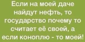 Житель Магадана добыл и пытался продать золото за 21 миллион рублей - 1547794036123444368.jpg