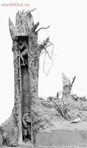  Фальш-деревья первой мировой войны - DwQCsigW0AIsy95.jpg