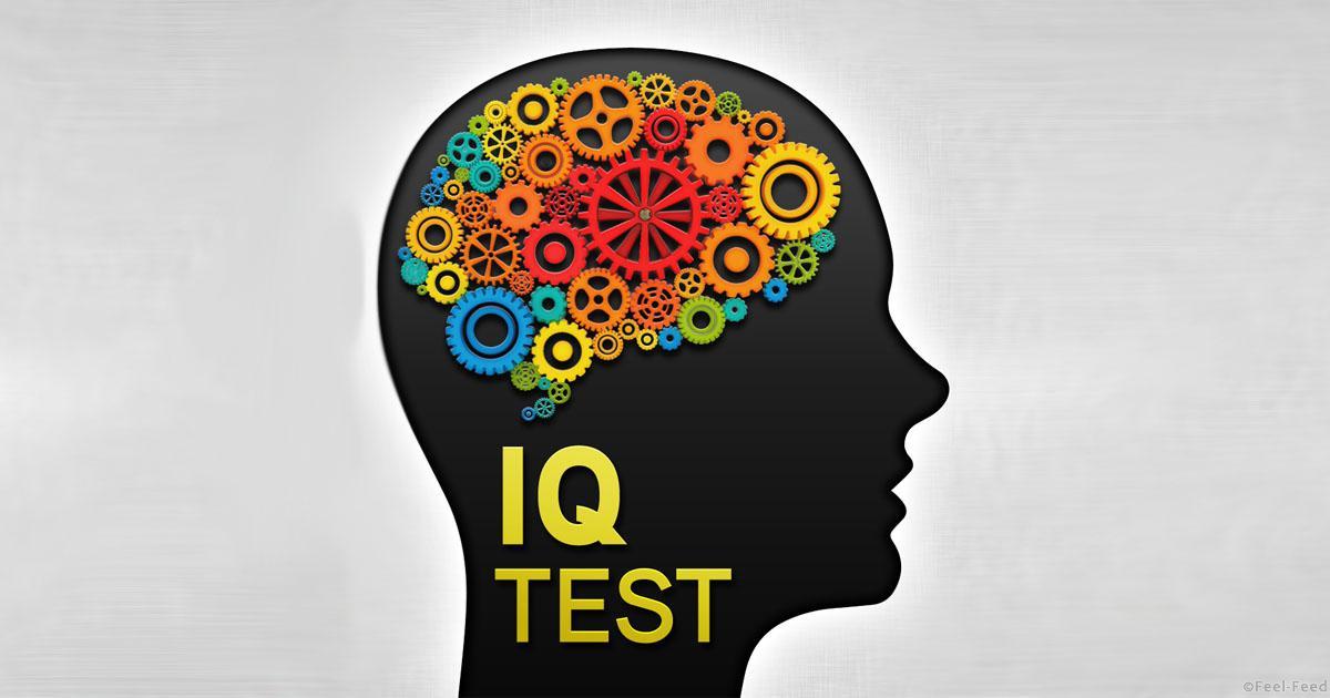 Определение интеллекта, IQ тест