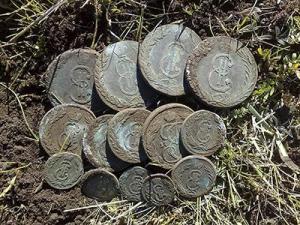 sibirskie_monety