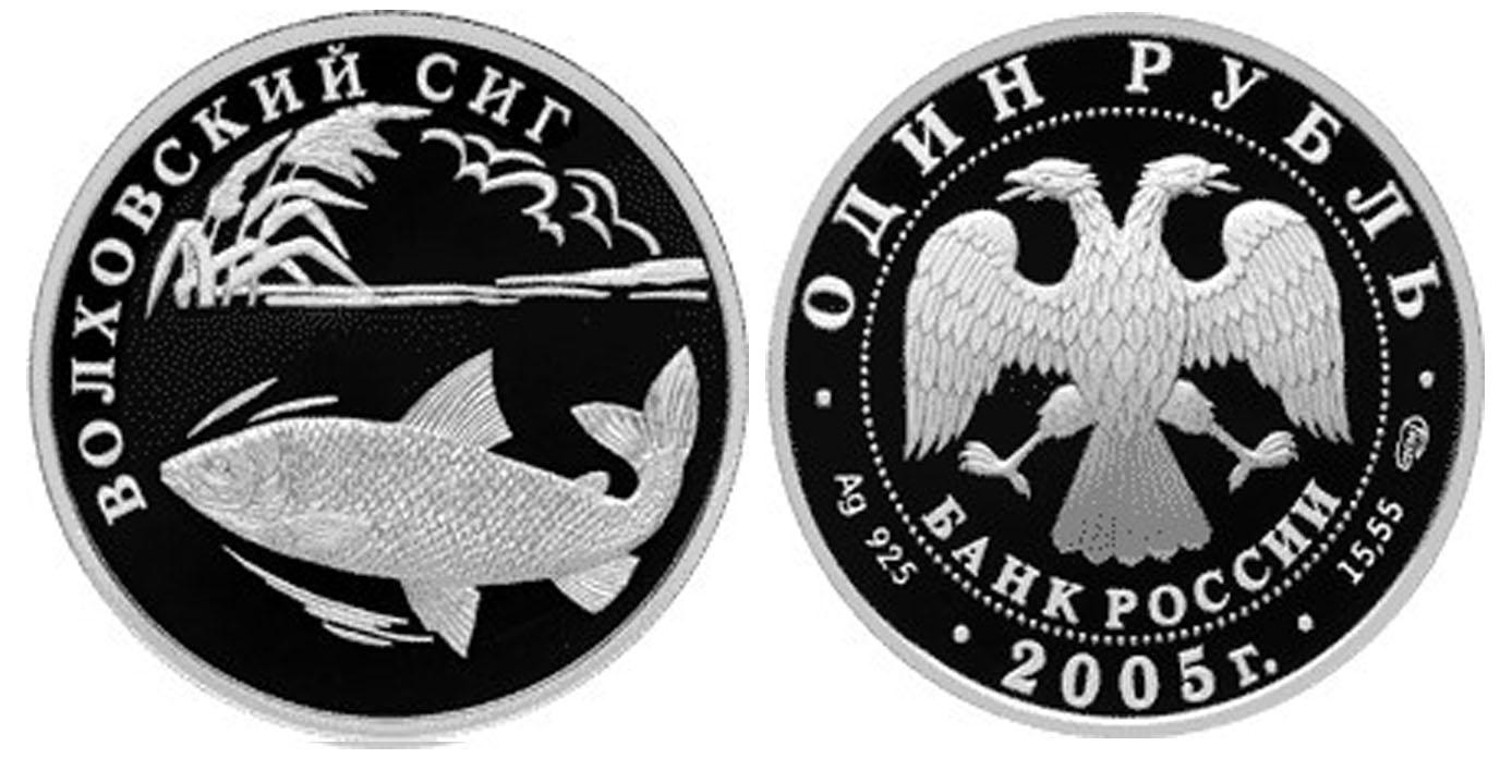 1 рубль 2005 года Волховский сиг