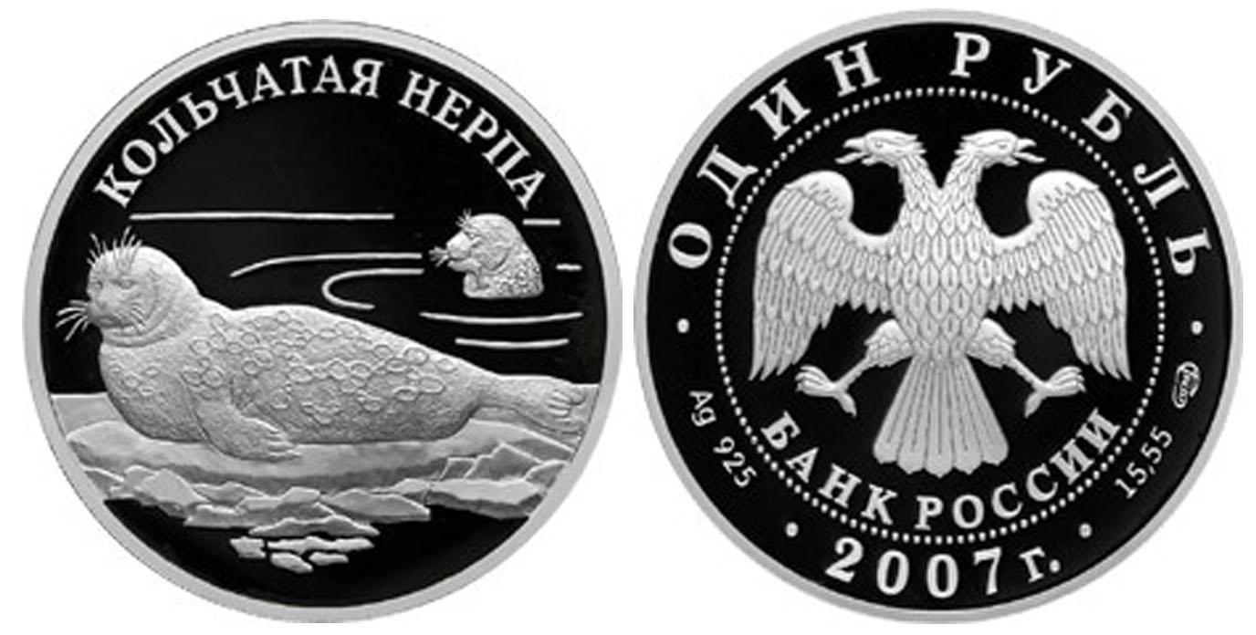 1 рубль 2007 года Кольчатая нерпа (ладожский подвид)