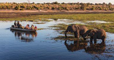 Ботсвана и Эфиопия: незабываемое путешествие в Африку