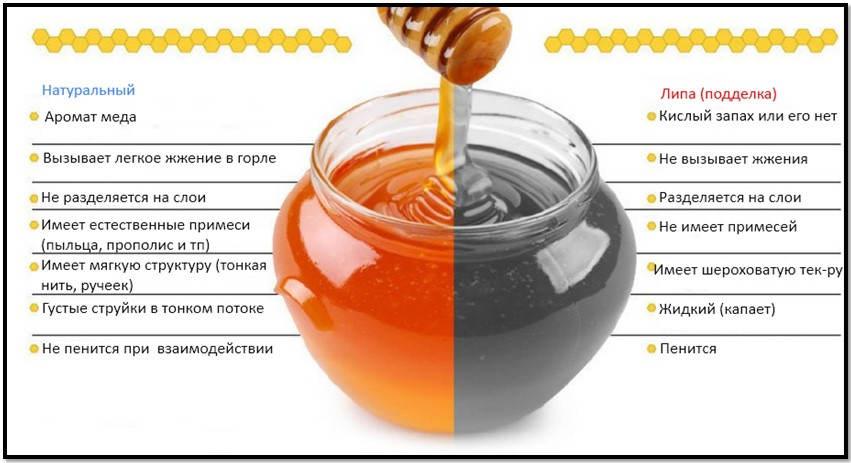 В каком отделе мед. Как отличить настоящий мед. Как определить настоящий мед.