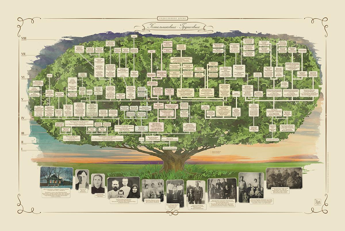Программа для составления генеалогического древа на русском бесплатно с добавлением фото