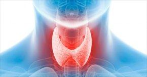 Обследование щитовидной железы в Германии: особенности диагностики