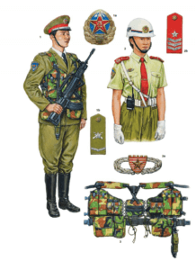 Униформа Народно-освободительной армии Китая