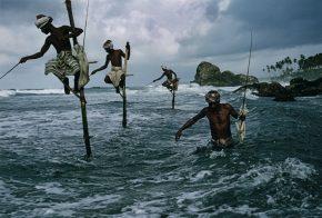 18 лучших фотографий из 128-летней истории National Geographic