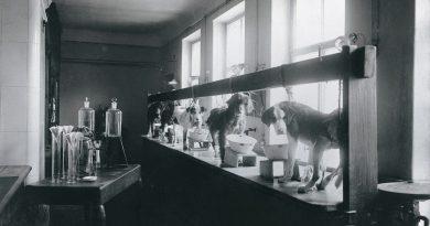 Лаборатории Павлова 1904 год