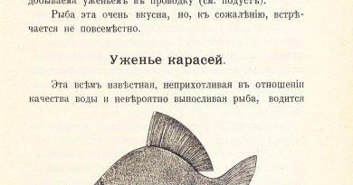 Руководство к уженью рыбы. Иллюстрированная энциклопедия 1913 года