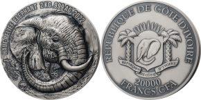 20000 франков 2022 года Африканский слон