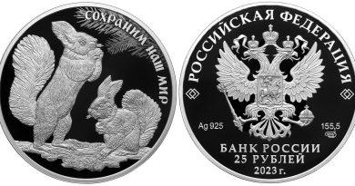 25 рублей 2023 года Белка обыкновенная
