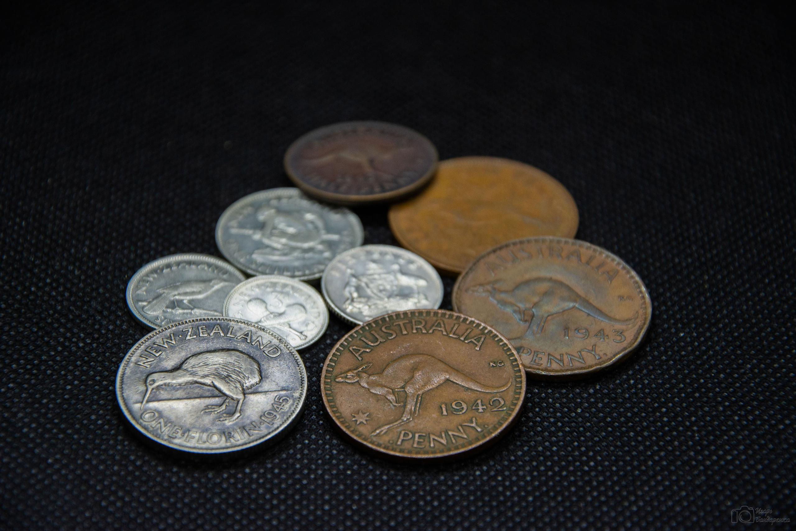 Коллекционирование монет. Коллекционер монет. Знаменитые монетные коллекционеры. Вес монет.