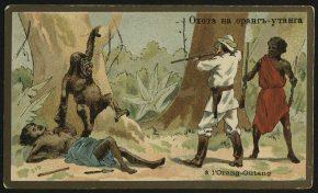 Серия открыток «Ловля и Охота»