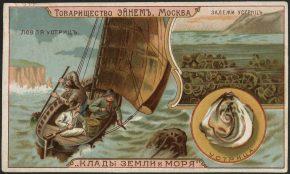Серия открыток «Клады земли и моря»