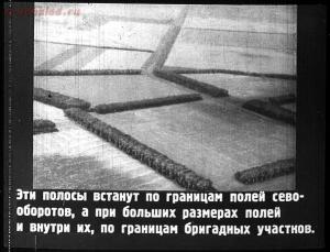 Сталинский план преобразования природы - 21-D9q5tG9wTMA.jpg