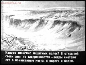 Сталинский план преобразования природы - 22-88VBVoL5o1E.jpg