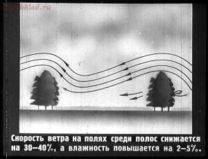 Сталинский план преобразования природы - 24-tv6ZIhO_97c.jpg