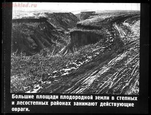 Сталинский план преобразования природы - 27-uLPB39t8U1w.jpg