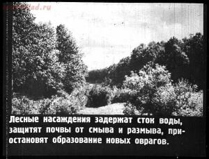 Сталинский план преобразования природы - 29-ImDcjG0pBeA.jpg