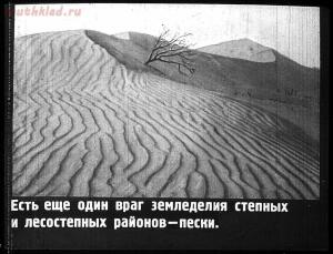 Сталинский план преобразования природы - 30-DUO6Z6YQwOw.jpg