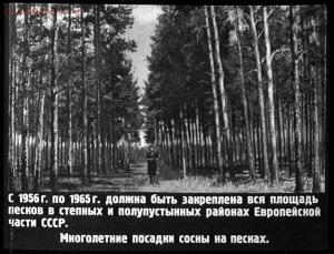 Сталинский план преобразования природы - 33-1QXrr-4P1I.jpg