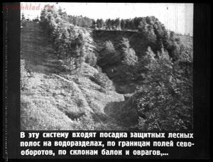 Сталинский план преобразования природы - 37-1wcqKFpXDKA.jpg