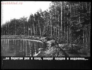 Сталинский план преобразования природы - 38-WocdlgKDnG0.jpg