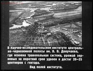 Сталинский план преобразования природы - 45-kgD2hiZHL74.jpg