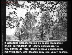 Сталинский план преобразования природы - 50-JMFH-hiN-0s.jpg