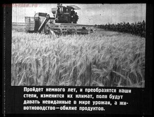Сталинский план преобразования природы - 58-rJcjOCbV-ao.jpg