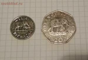 [Куплю] Монеты со слоном - X_CQl37mX0U.jpg