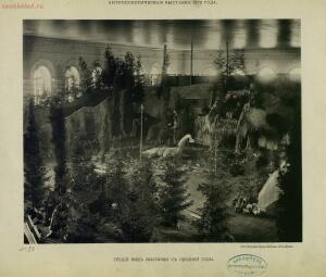 Виды антропологической выставки в Москве 1879 года - _антропологической_выставки_в_Москве_1879_г_49.jpg