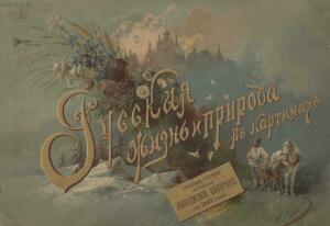Русская жизнь и природа в картинках 1892 года - _жизнь_и_природа_в_картинках (1).jpg