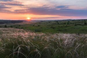 Замечательное незаметное - IMG_3934.jpg