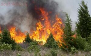 Как спастись в лесу от пожара:правила безопасности в лесу. - 83958396_0.jpg